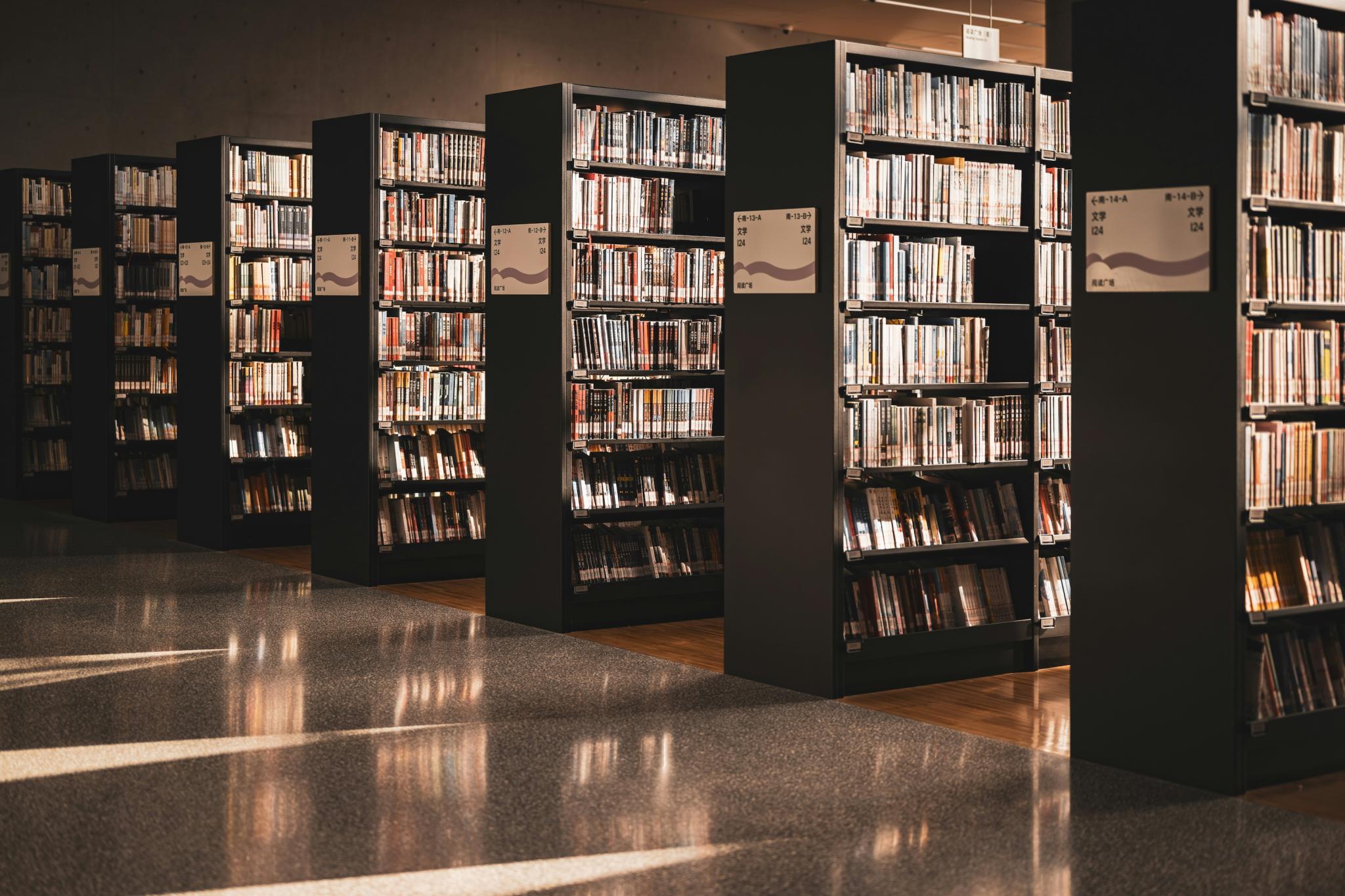 Books on library shelves